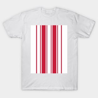 Southampton Retro 1976 Red & Whites Striped FA Cup Winners Home T-Shirt